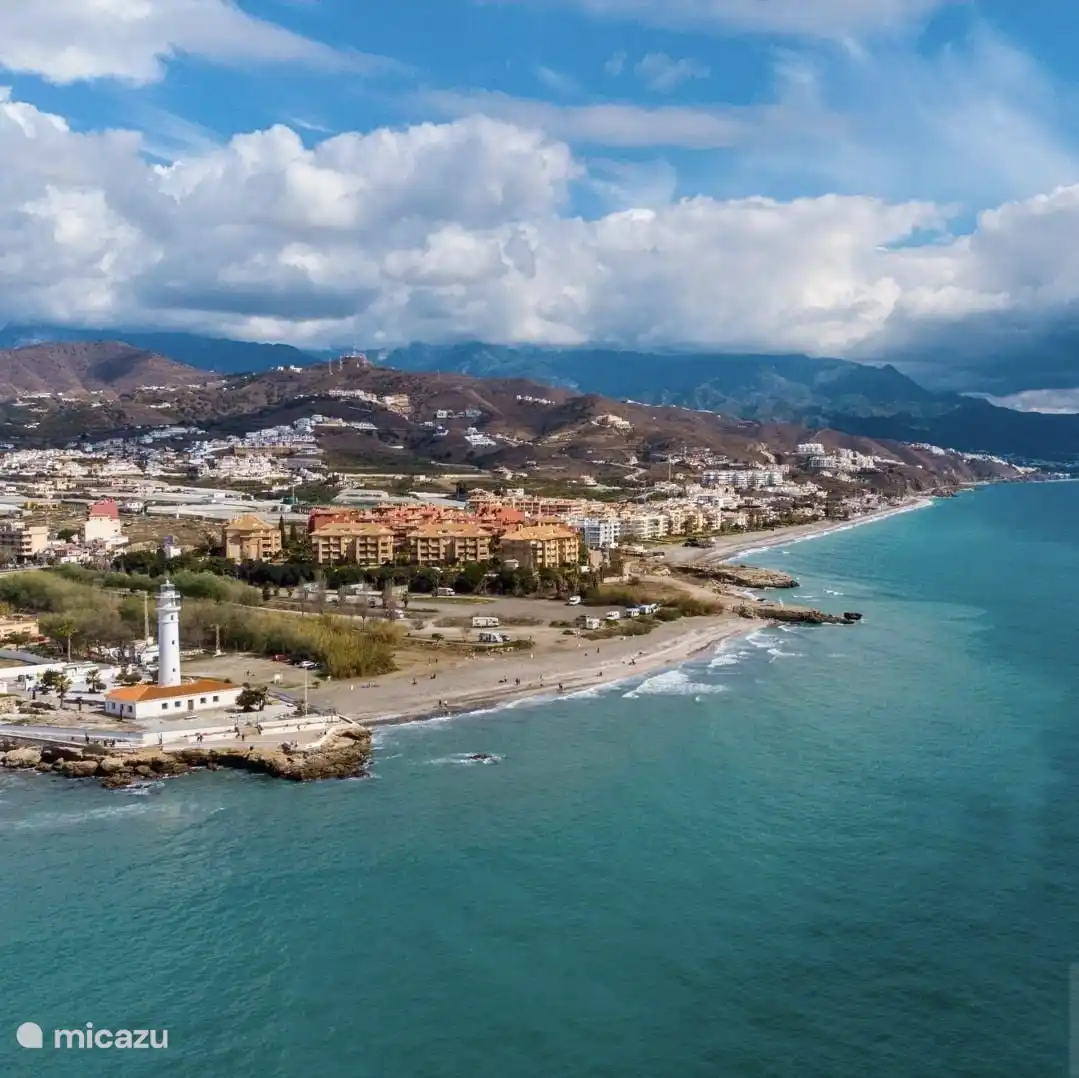 Vue aérienne de Wild Palms Apartments.