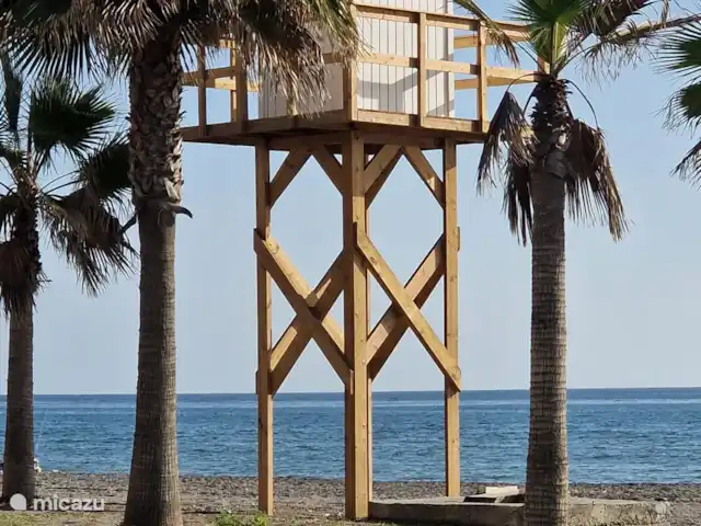 Location de Vacances Espagne, Costa del Sol, Torrox, appartement - Oasis vue mer Plage Torrox calme avec des palmiers.