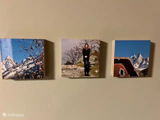 Chalet-lesPraz en Francia, Alta Saboya, Chamonix - chalet cuadros en la pared de una de las habitaciones