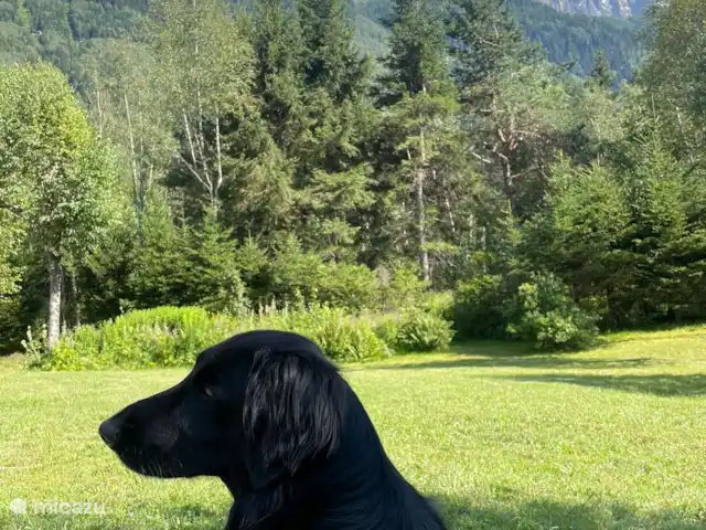 Chalet-lesPraz en Francia, Alta Saboya, Chamonix - chalet Los perros son bienvenidos en consulta