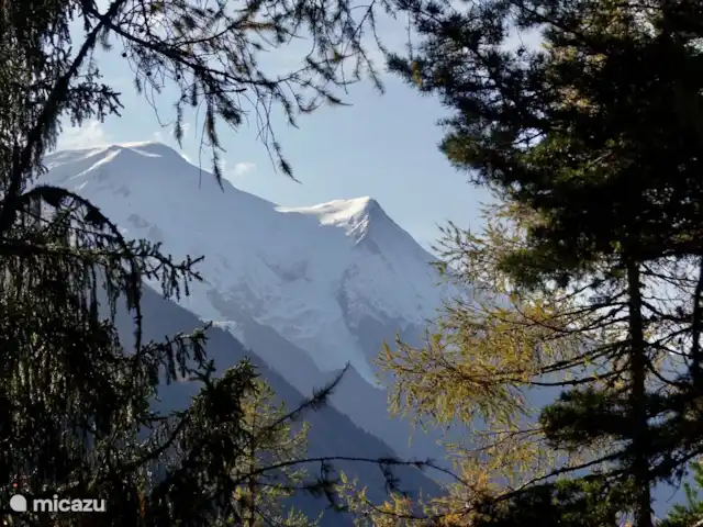 Chalet-lesPraz en Francia, Alta Saboya, Chamonix - chalet Hermoso verde que contrasta con los picos blancos