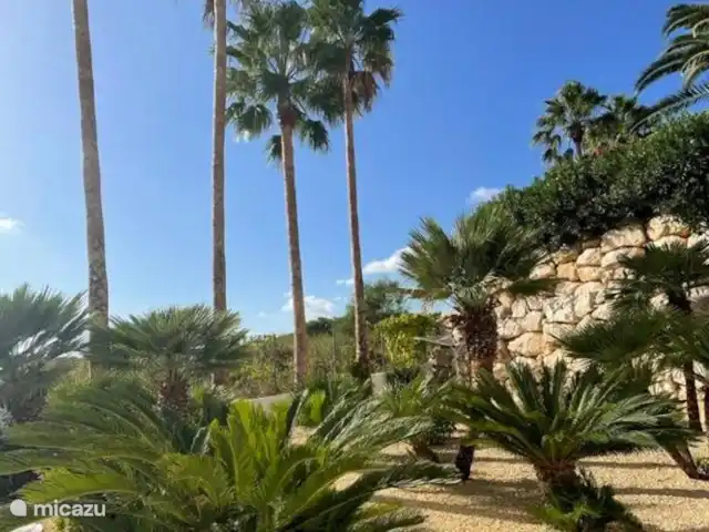 Casa Dillie | Espagne, Costa Blanca, Jávea - villa Jardin