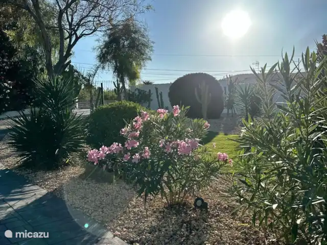 Casa Dillie | Espagne, Costa Blanca, Jávea - villa Jardin fleuri !