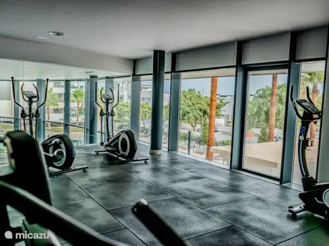 Penthouse familial Oasis avec vue sur la mer | Espagne, Costa del Sol, Estepona - penthouse gymnase