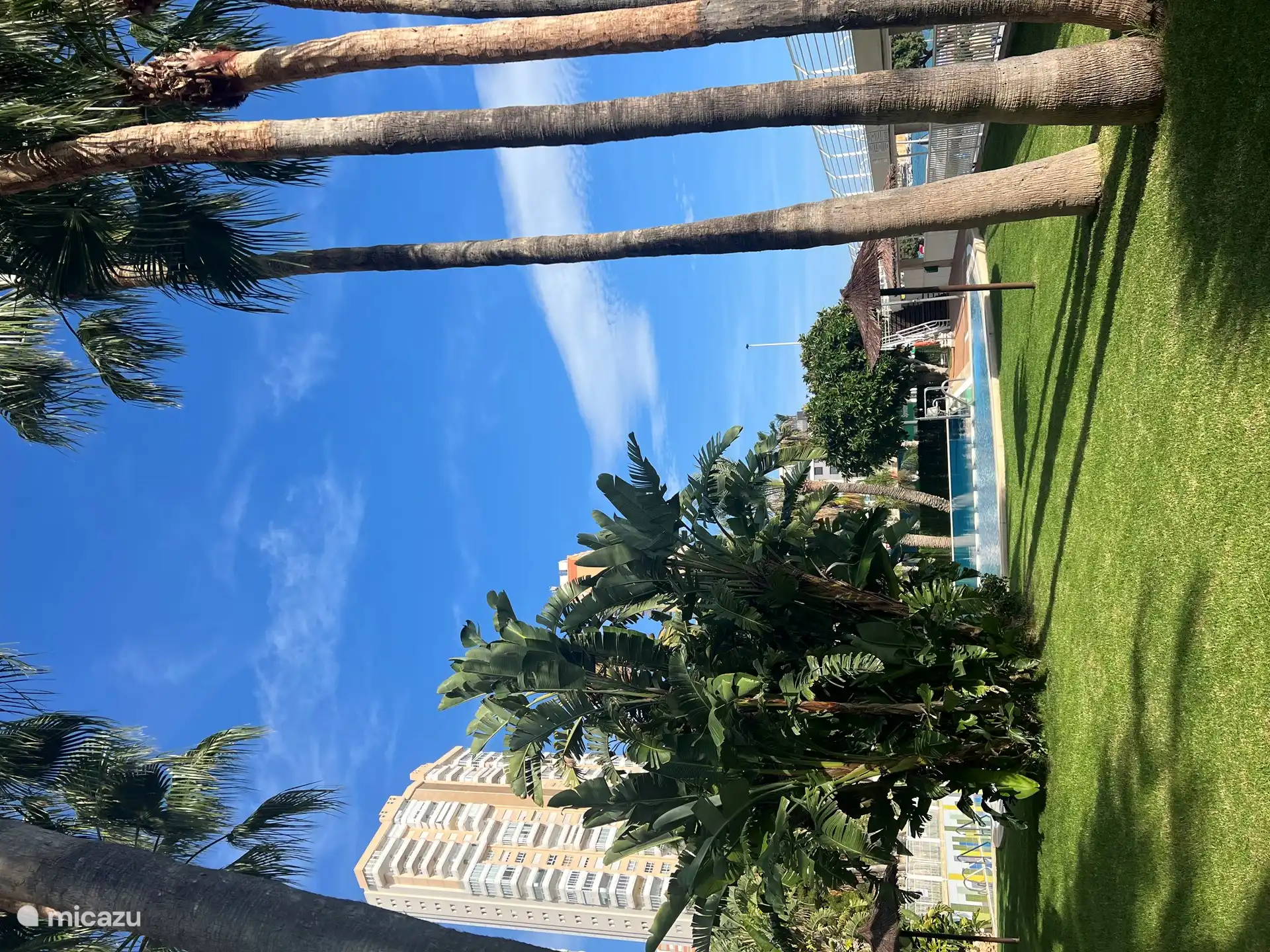 Heerlijk zwembad open in de zomermaanden