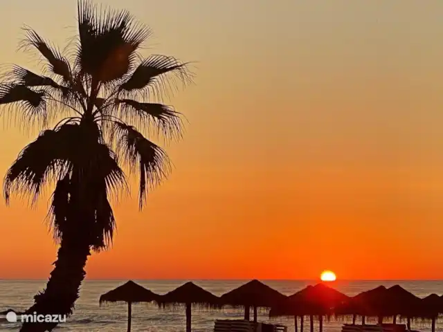 Casa Costa La Marina  | Espagne, Costa Blanca, San Fulgencio La Marina - villa