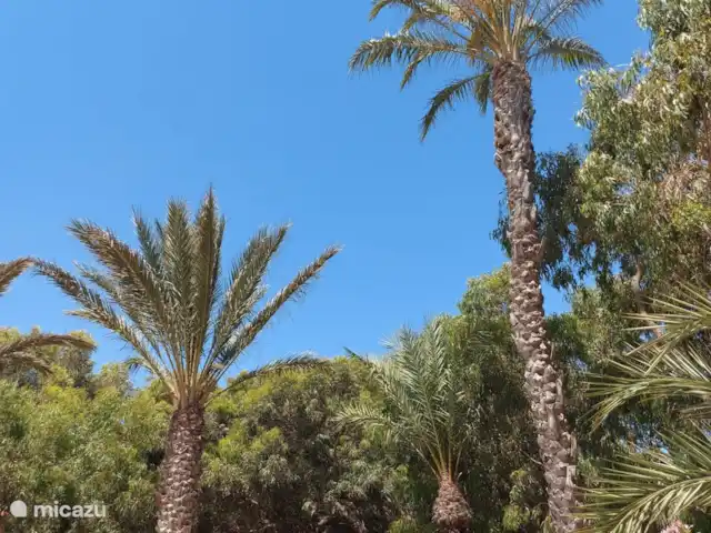Casa Costa La Marina  | Espagne, Costa Blanca, San Fulgencio La Marina - villa