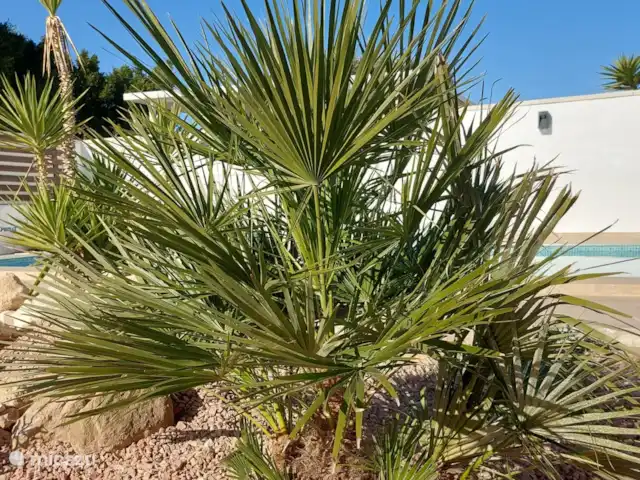 Casa Costa La Marina  | Espagne, Costa Blanca, San Fulgencio La Marina - villa