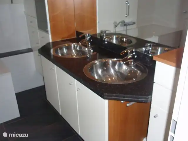 Détente dans les bois sur la lande - 152 | Pays-Bas, Gueldre, Harfsen - bungalow évier double