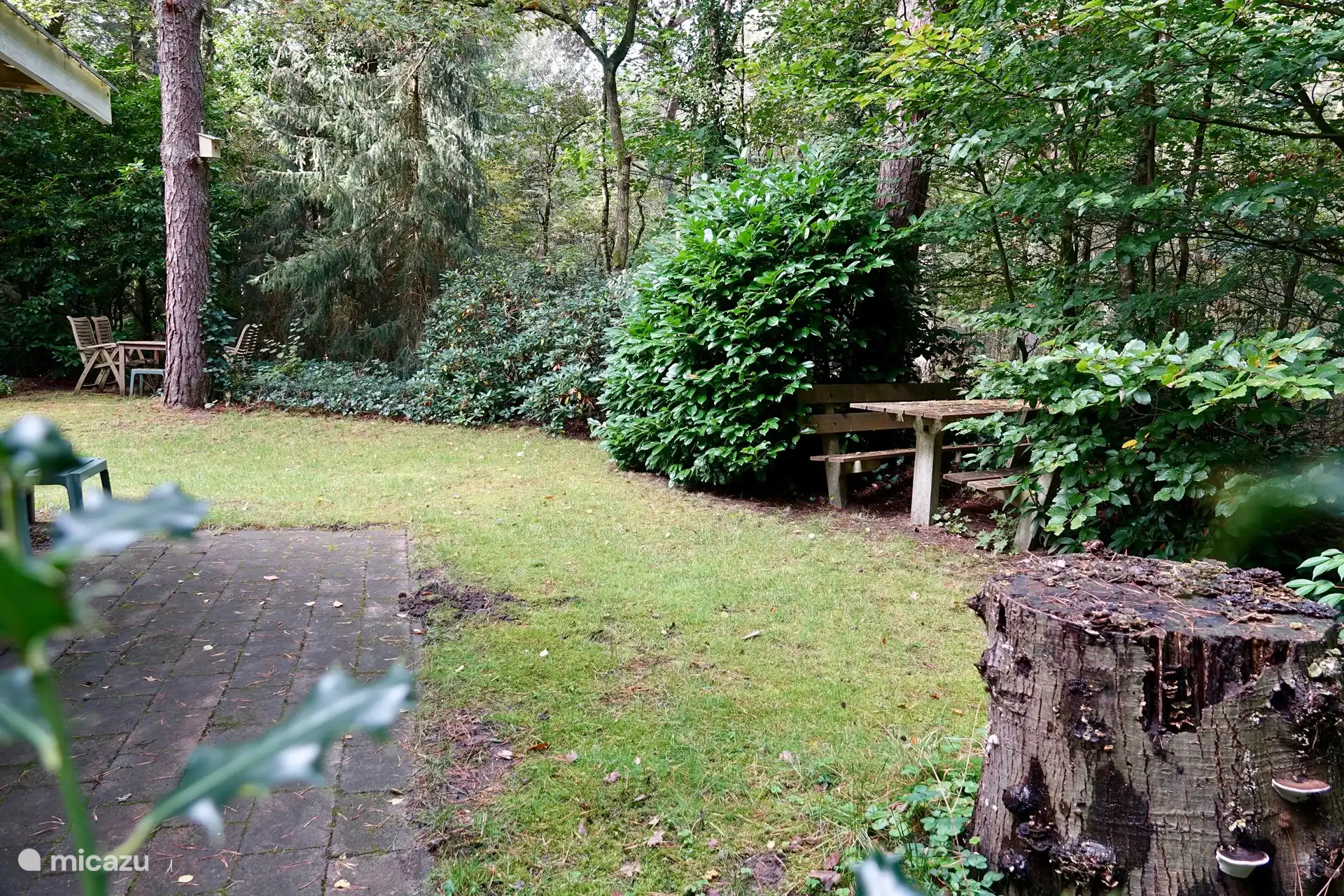 Zurück Garten Schattiger Bereich im Sommer