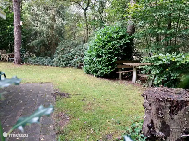 Détente dans les bois sur la lande - 152 | Pays-Bas, Gueldre, Harfsen - bungalow jardin arrière zone ombragée en été