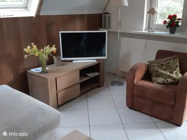 Détente dans les bois sur la lande - 152 | Pays-Bas, Gueldre, Harfsen - bungalow Salon