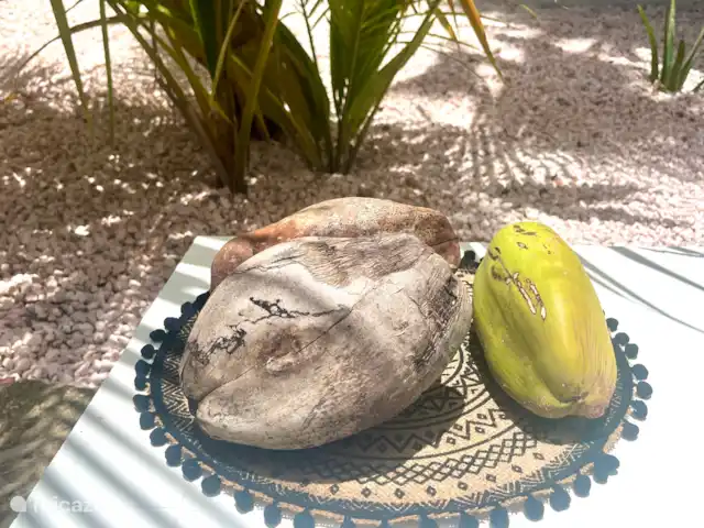 SolLuna Studios (Studio Sol) | Curaçao, Curaçao-Centre, Willemstad - studio Ambiance du jardin tropical