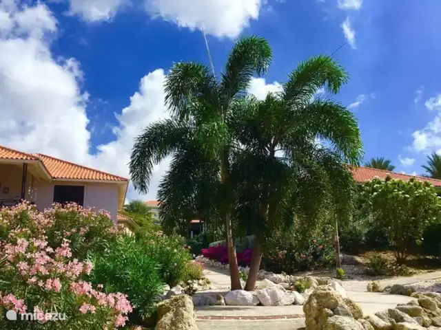 Villa Boka Bleu | Curaçao, Curaçao-Centre, Blue Bay - villa
