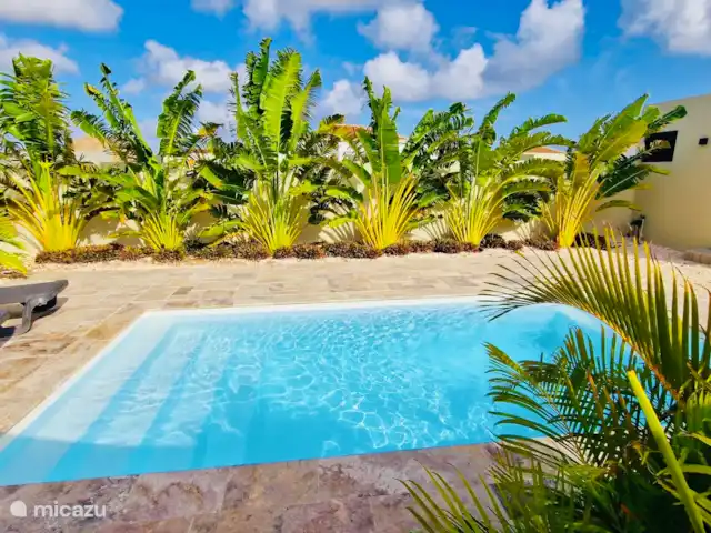 Villa Cabana | Curaçao, Banda Ariba (est), Mambo Beach - villa Pôle