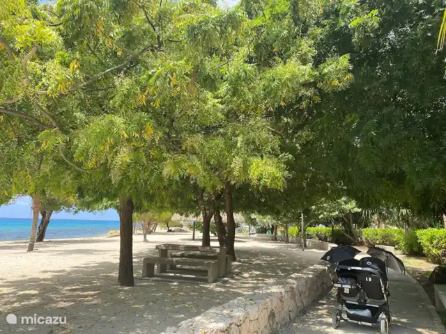 Villa Cabana | Curaçao, Banda Ariba (est), Mambo Beach - villa La verdure luxuriante offre beaucoup d’ombre sur le boulevard Marie Pampoen.