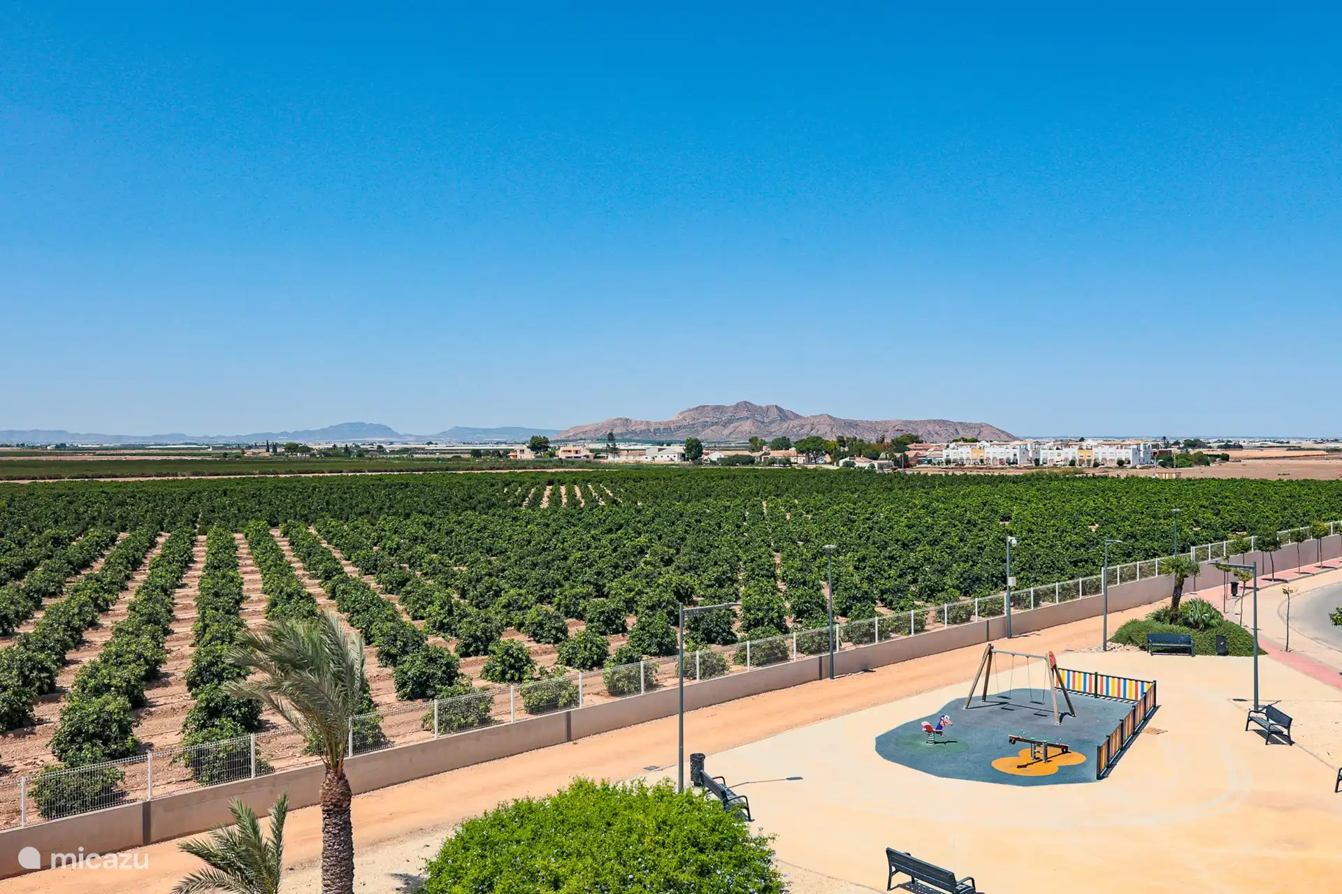 Une photo de la vue vers l’arrière montre un beau paysage avec des plantations luxuriantes au premier plan et des montagnes majestueuses au loin.