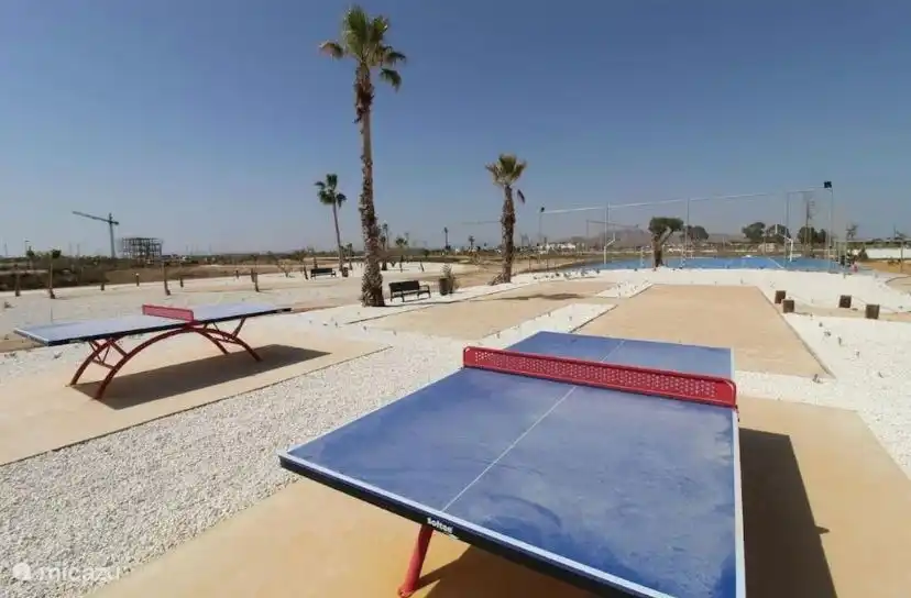 Tables de ping-pong
