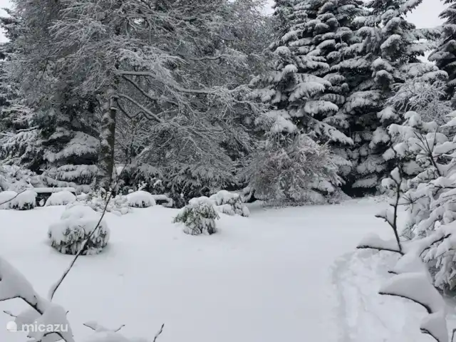 Am Astenberg | Allemagne, Sauerland, Neuastenberg - Winterberg - villa Jardin