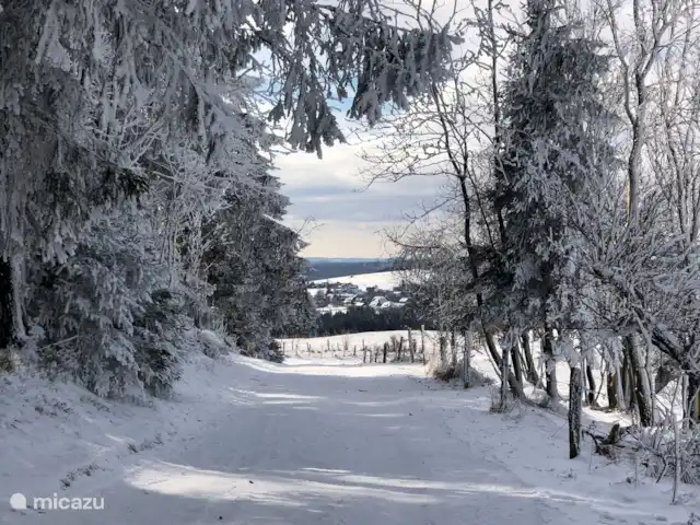Am Astenberg | Allemagne, Sauerland, Neuastenberg - Winterberg - villa Environnement