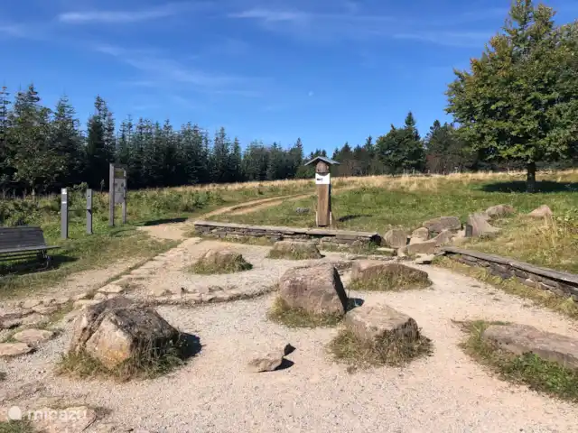 Am Astenberg | Allemagne, Sauerland, Neuastenberg - Winterberg - villa Environnement