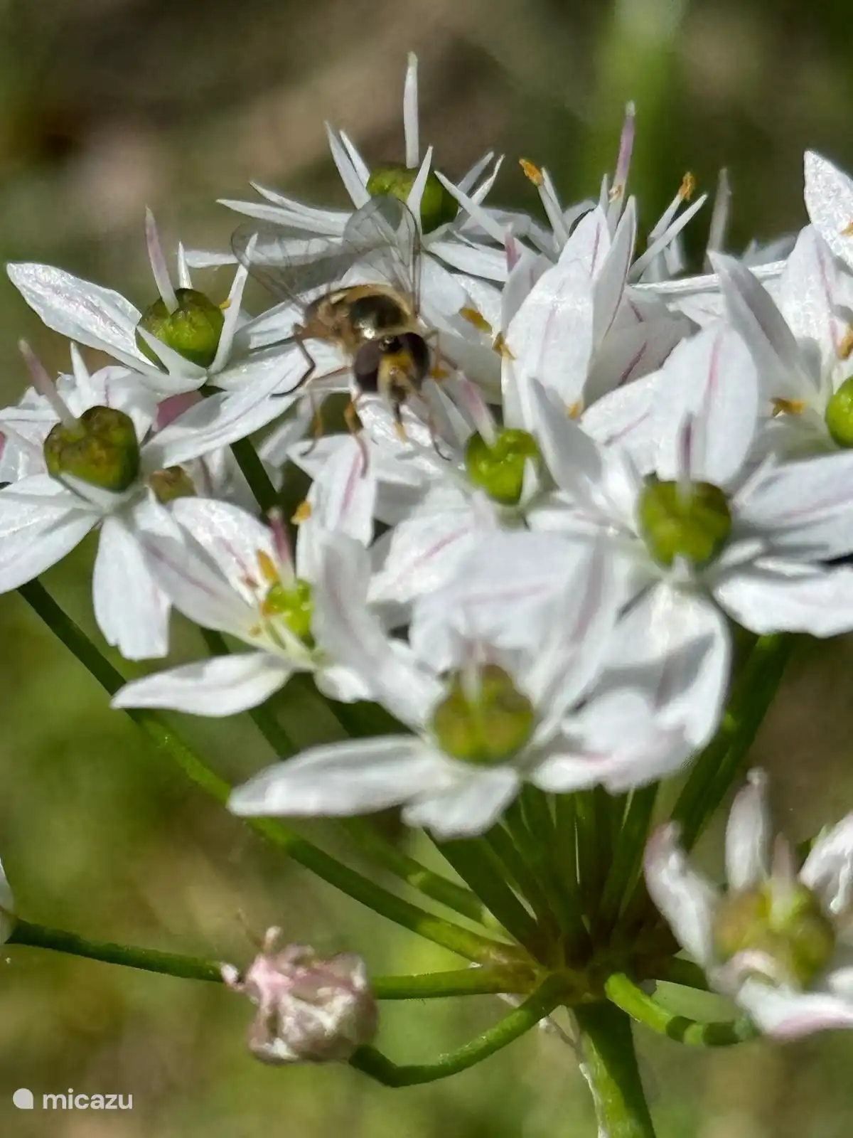 Para pensarlo por un momento.