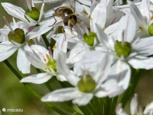 geschakelde woning huren in Italië, Umbrië, Castiglione Del Lago – Casa Profondo Om even bij stil te staan.
