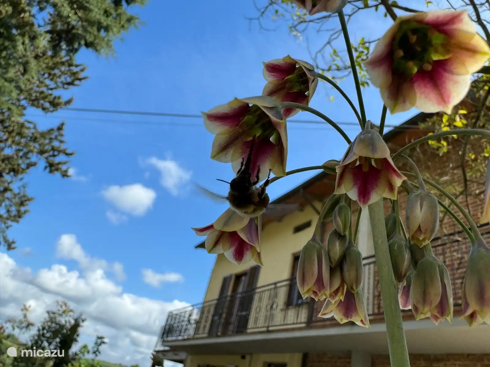 ¿Qué más se puede pedir...?