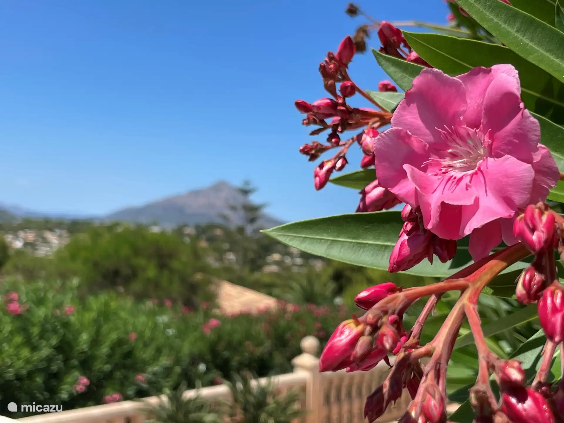 Blick von der seitlichen Terrasse.