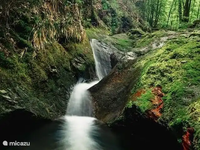 Bellevue huren in België, Ardennen, Aywaille - villa Wandeling Ninglingspo