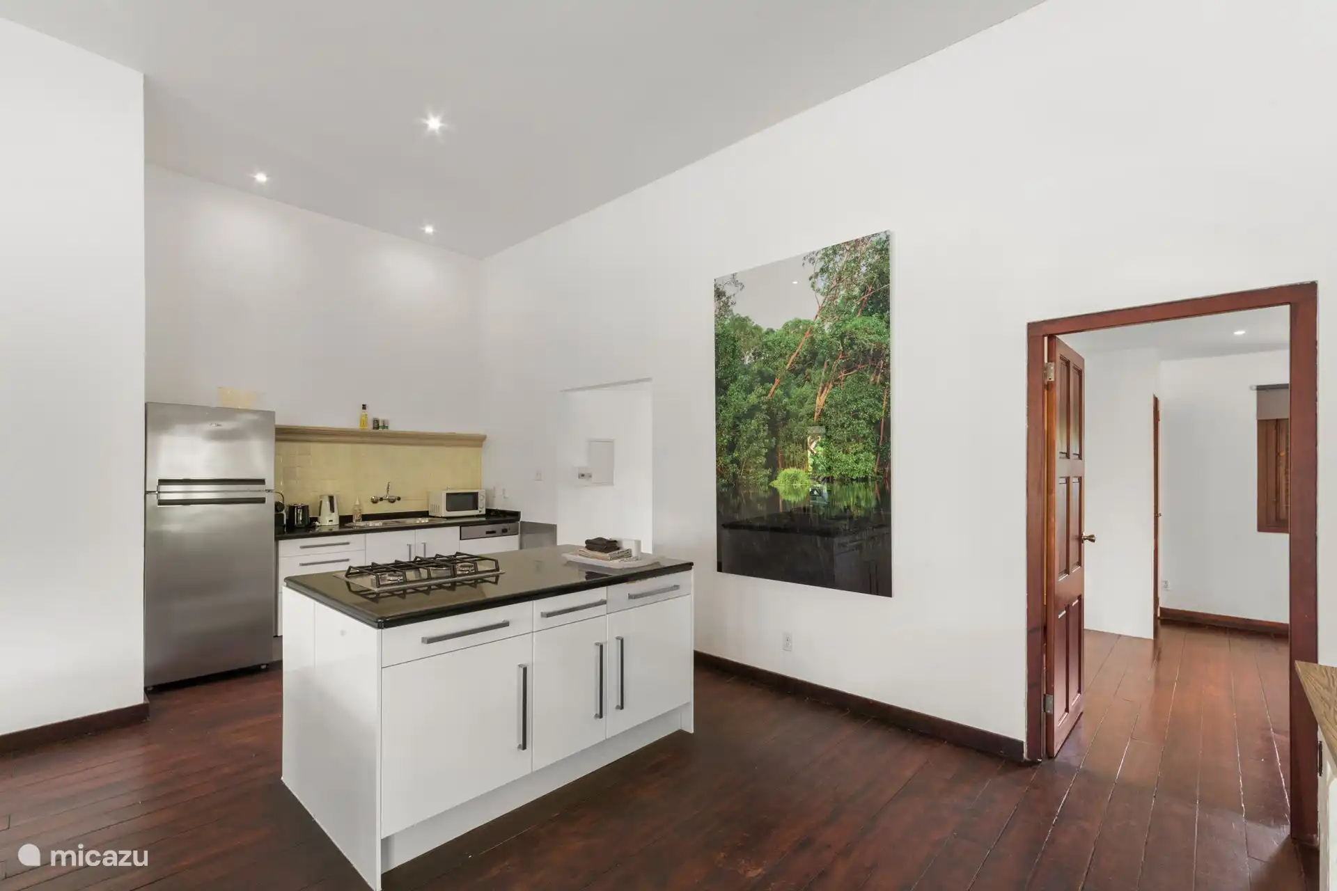 American fridge, Nesoresso machine and oven