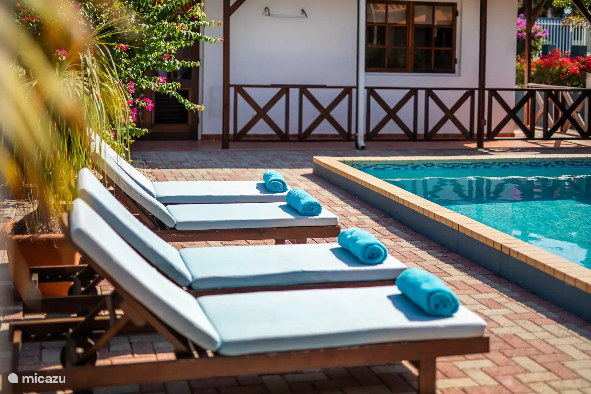 Jardin avec chaises longues