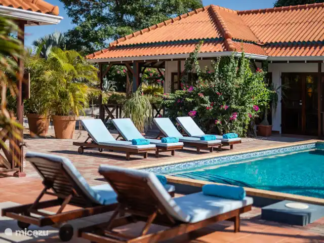 Location de Vacances Curaçao, Banda Ariba (est), Jan Thiel, appartement - Alegria - Bloublou Curaçao Chaises longues