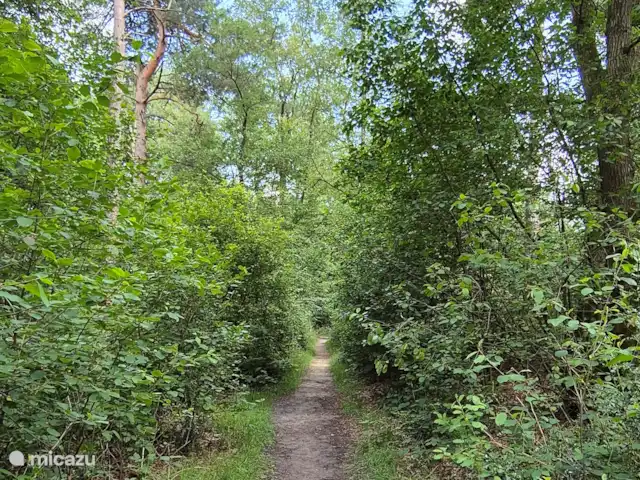 Heureux à l’extérieur | Pays-Bas, Overijssel, Nutter - maison de vacances Trottoir