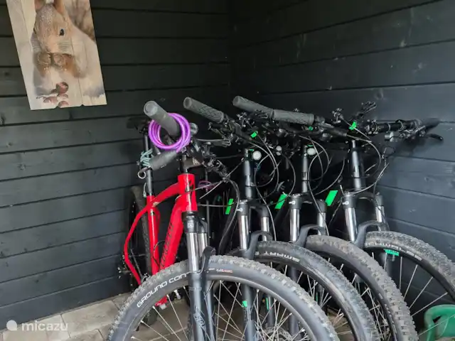 Heureux à l’extérieur | Pays-Bas, Overijssel, Nutter - maison de vacances Vtt