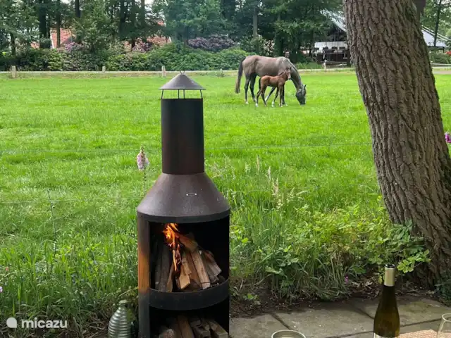 Heureux à l’extérieur | Pays-Bas, Overijssel, Nutter - maison de vacances Poêle à bois dans le salon