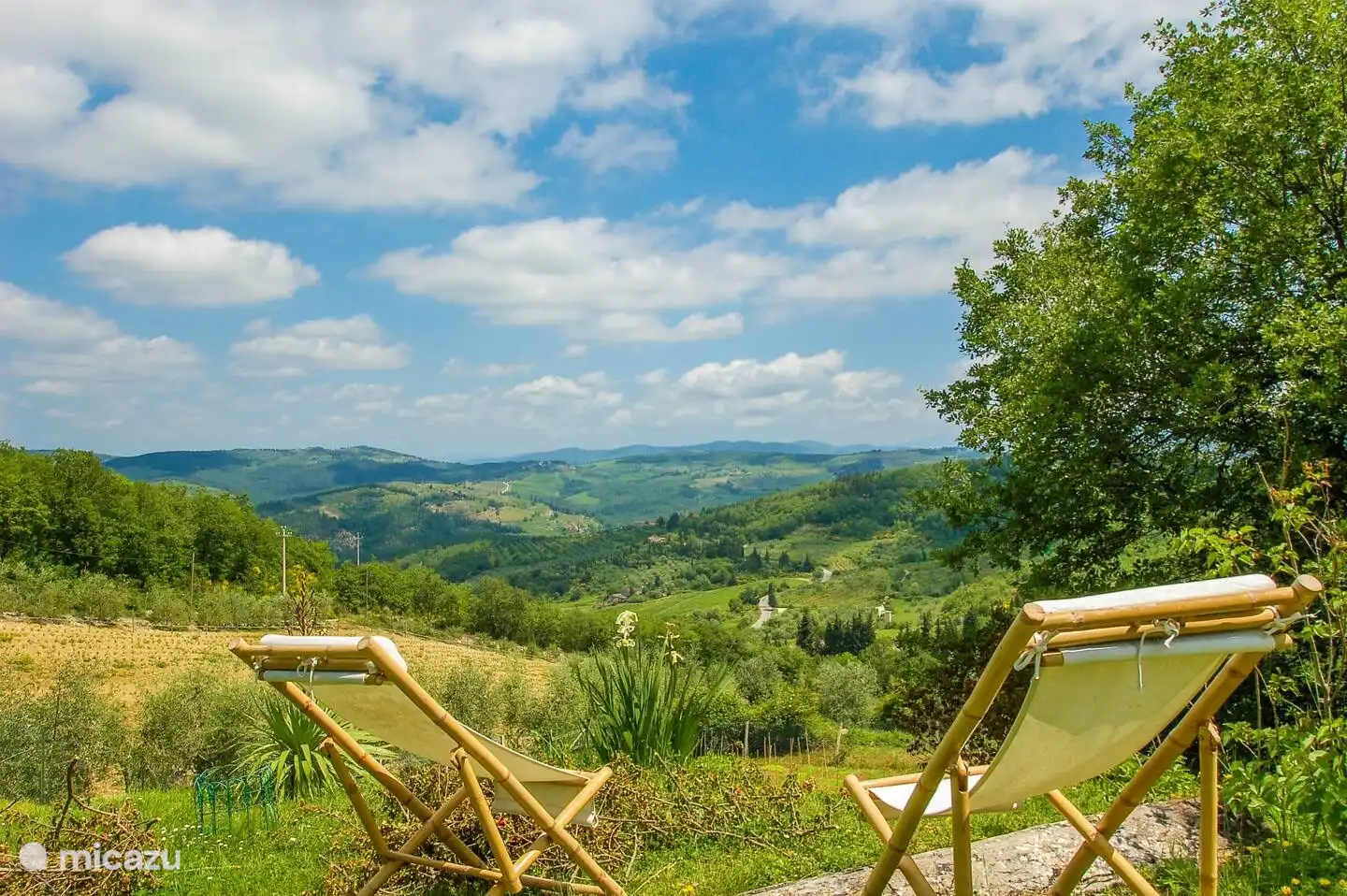 vue sur les collines du Chianti