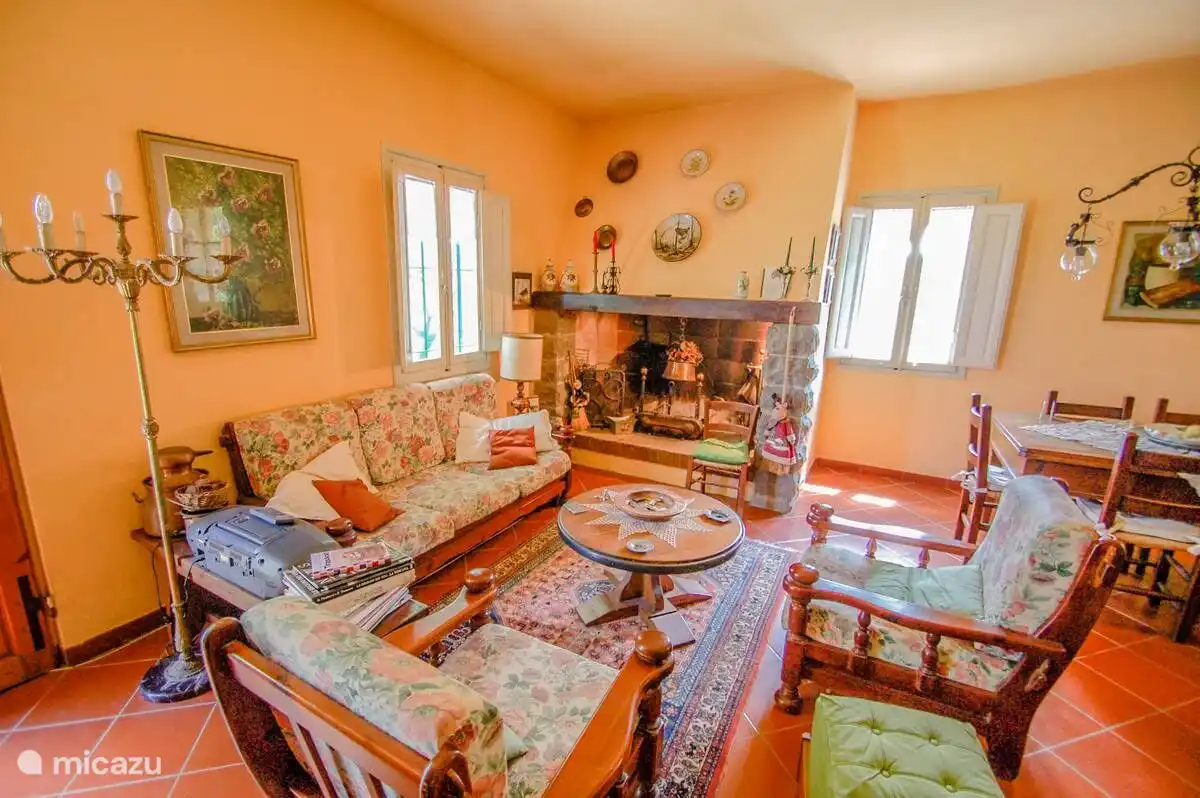 Photo du salon intérieur et de la cheminée