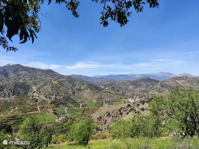 Location de Vacances Espagne, Andalousie, Benamargosa, villa - Casa Almendras