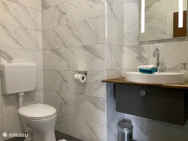 Appartement de 2 chambres et balcon  | Autriche, Carinthie, Feld Am See - appartement salle de bain, douche à l’italienne, toilettes, lavabo