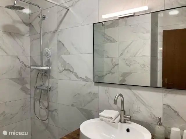 Appartement de 2 chambres et balcon  | Autriche, Carinthie, Feld Am See - appartement salle de bain, douche à l’italienne