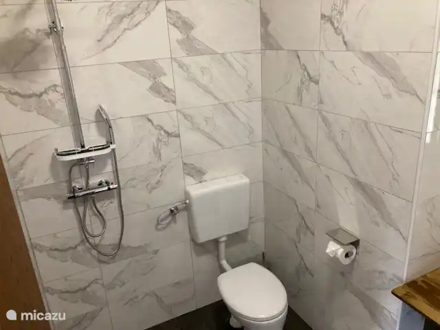 Appartement de 2 chambres et balcon  | Autriche, Carinthie, Feld Am See - appartement salle de bain, wc