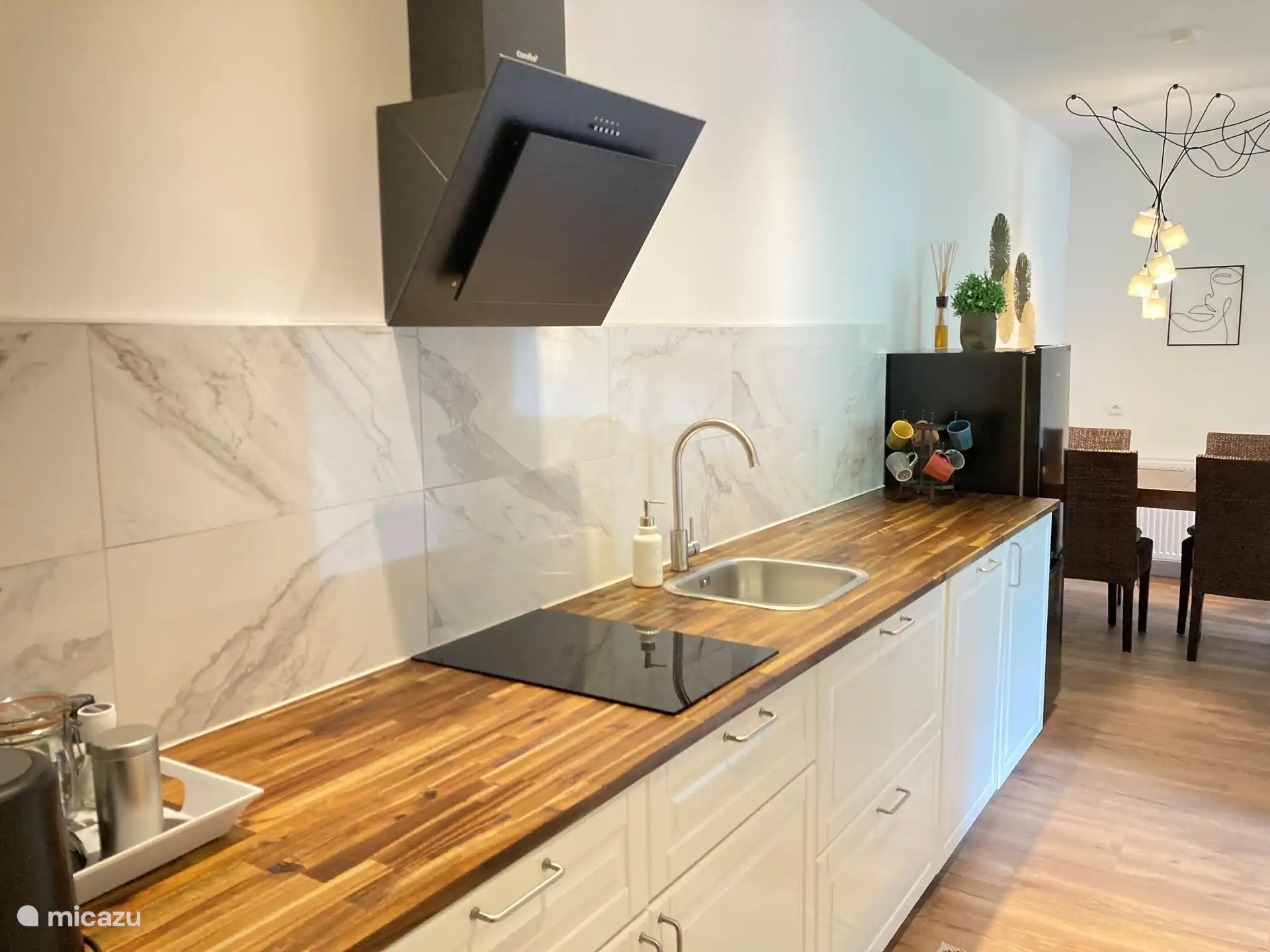 kitchen, fridge, hob, dishwasher