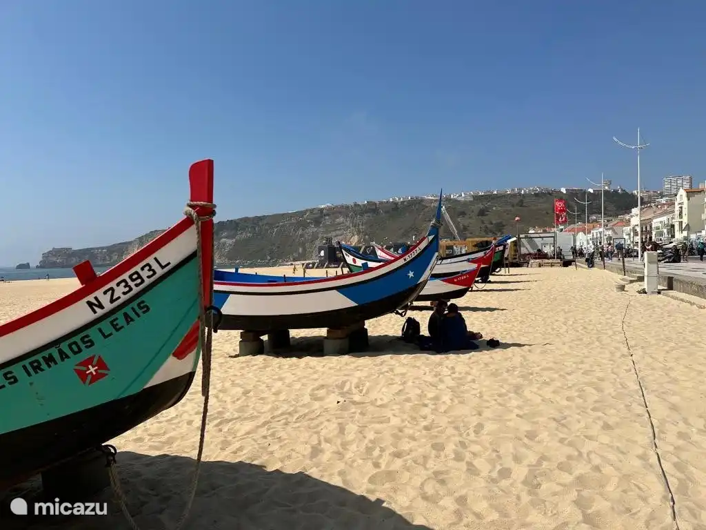 Des bateaux de pêche authentiques en exposition