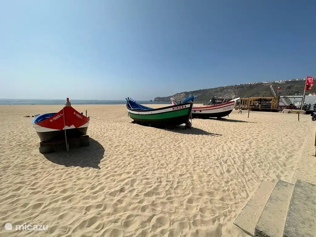 Des bateaux de pêche authentiques en exposition