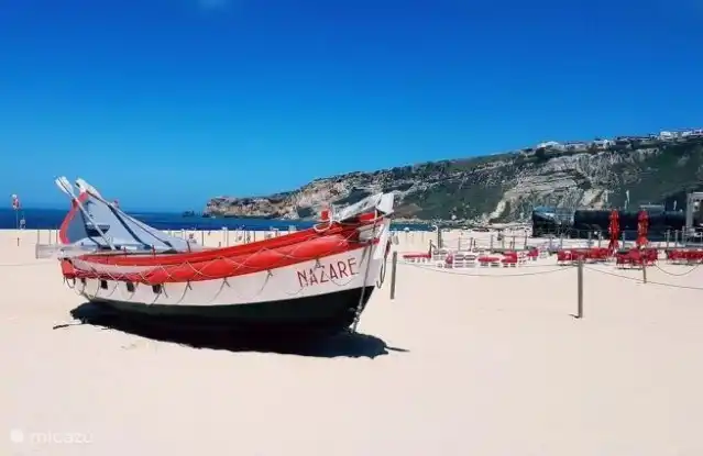 Des bateaux de pêche authentiques en exposition