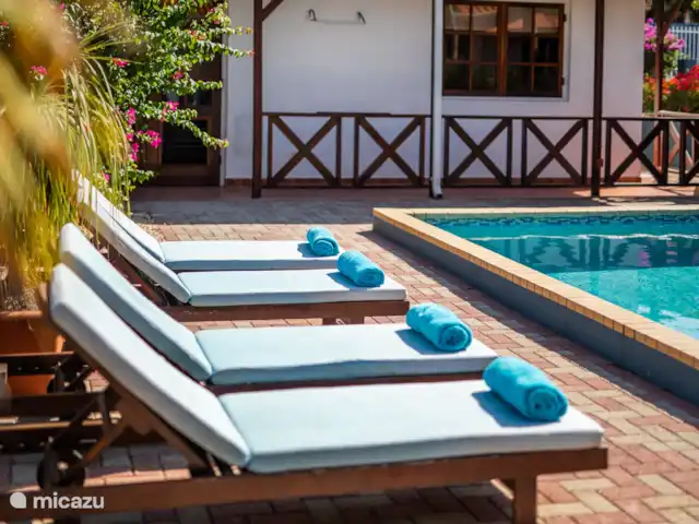 Location de Vacances Curaçao, Banda Ariba (est), Jan Thiel, appartement - Barbulét - Bloublou Curaçao Piscine avec transats