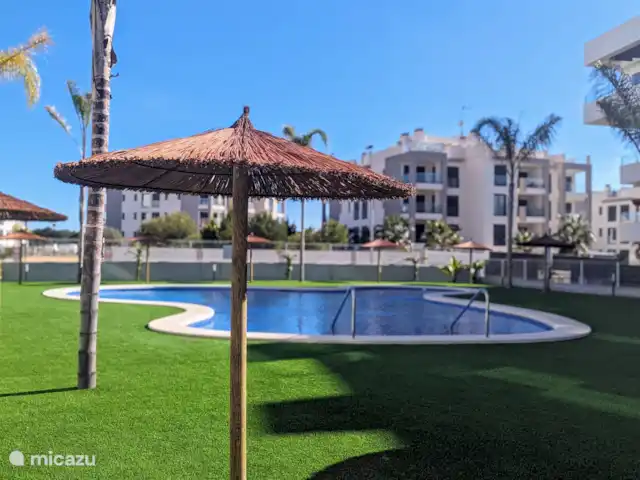 Luxe appartement met zwembadzicht huren in Spanje, Costa Blanca, Alicante - appartement Het zwembad ligt prachtig in de volle zon, omringd door mooie palmbomen die zorgen voor een tropische sfeer. Naast het grote zwembad is er ook een apart kinderbad, ideaal voor de kleintjes om veilig te spelen en genieten.