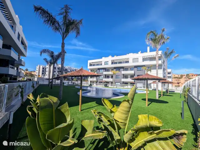 Luxe appartement met zwembadzicht huren in Spanje, Costa Blanca, Alicante - appartement Het zwembad ligt prachtig in de volle zon, omringd door mooie palmbomen die zorgen voor een tropische sfeer. Naast het grote zwembad is er ook een apart kinderbad, ideaal voor de kleintjes om veilig te spelen en genieten.