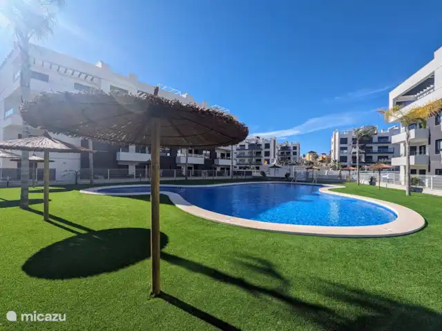 Luxe appartement met zwembadzicht huren in Spanje, Costa Blanca, Alicante - appartement Het zwembad ligt prachtig in de volle zon, omringd door mooie palmbomen die zorgen voor een tropische sfeer. Naast het grote zwembad is er ook een apart kinderbad, ideaal voor de kleintjes om veilig te spelen en genieten.